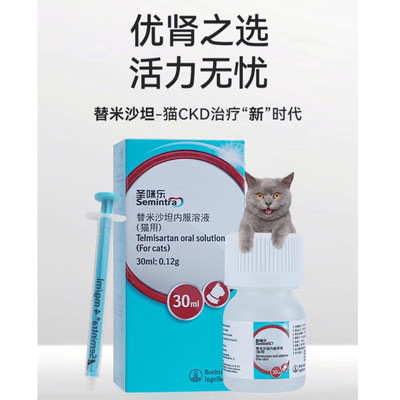 圣咪乐替米沙坦猫咪宠物药
