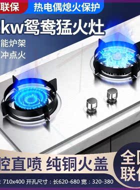 德国正品家用定时煤气灶双灶燃气灶天然气液化气台式嵌入式猛火灶