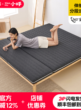 椰棕床垫分体式定制棕垫两段式棕榈床垫硬垫家用护脊3e环保0胶水