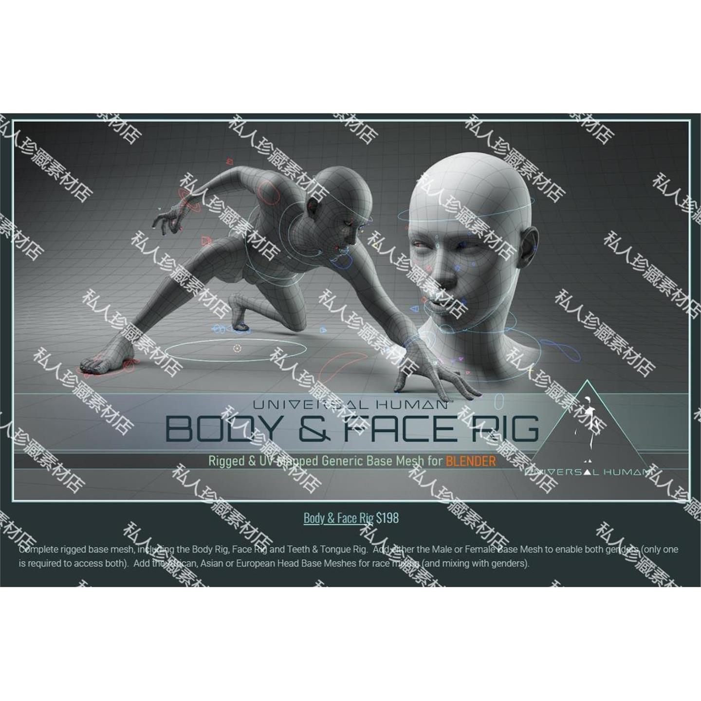 Blender人物角色基础网格带骨骼绑定人体+脸部3d模型321