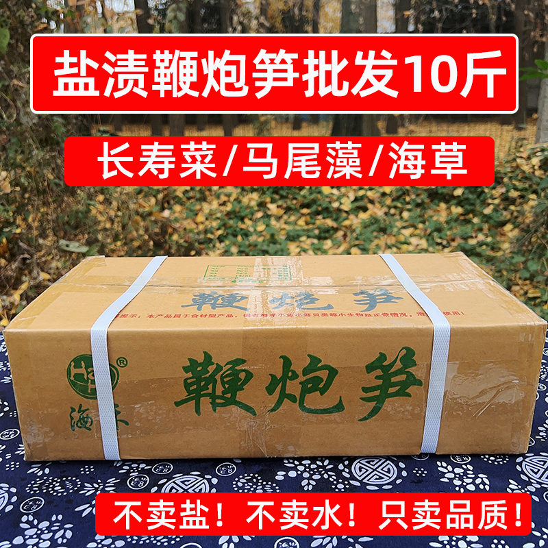 厂家批发盐渍鞭炮笋10斤马尾藻凉拌海草火锅脆海藻麻辣烫商用食材