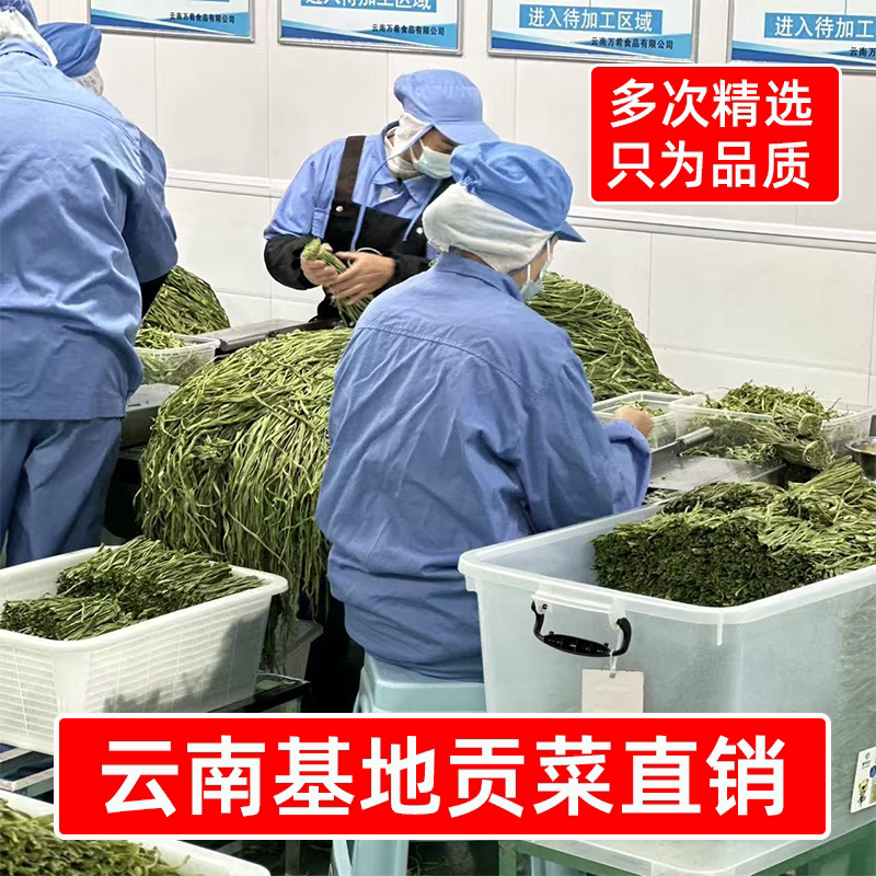 精选云南基地贡菜干8斤商用一箱农家晒干贡菜火锅凉拌辣卤菜食材