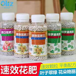 现货进口植物颗粒肥料绿萝多肉有机复合肥料瓜果肥通用花卉绿植肥