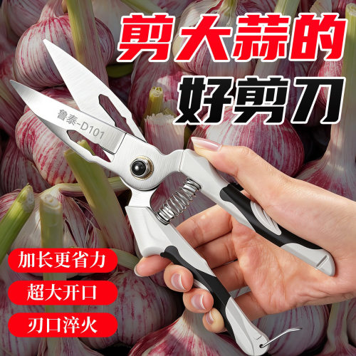 锰钢超大号防锈高硬度蒜剪