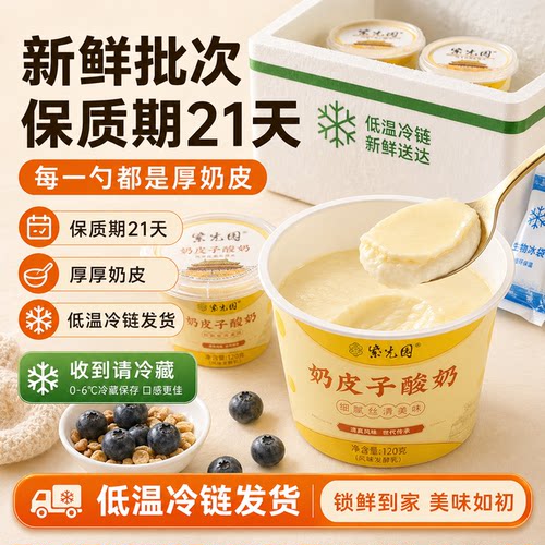 新鲜老北京紫光园奶皮子酸奶老式原味茉莉抹茶酸奶旗舰店顺丰冷运