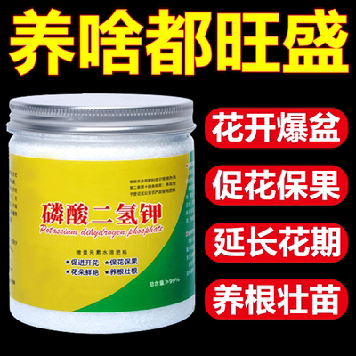 磷酸二氢钾促开花肥通用型
