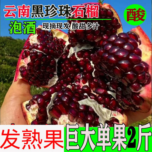 云南黑籽建水黑珍珠软籽酸石榴新鲜泡酒应季水果包邮