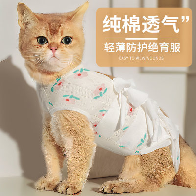 猫咪手术后衣服母猫绝育服纯棉透气戒奶断奶公猫防舔节育宠物用品