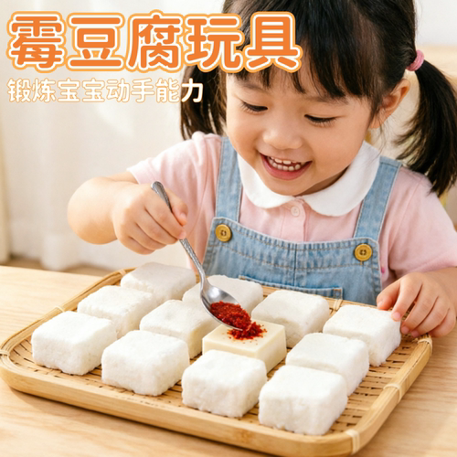 霉豆腐DIY材料包儿童仿真玩具