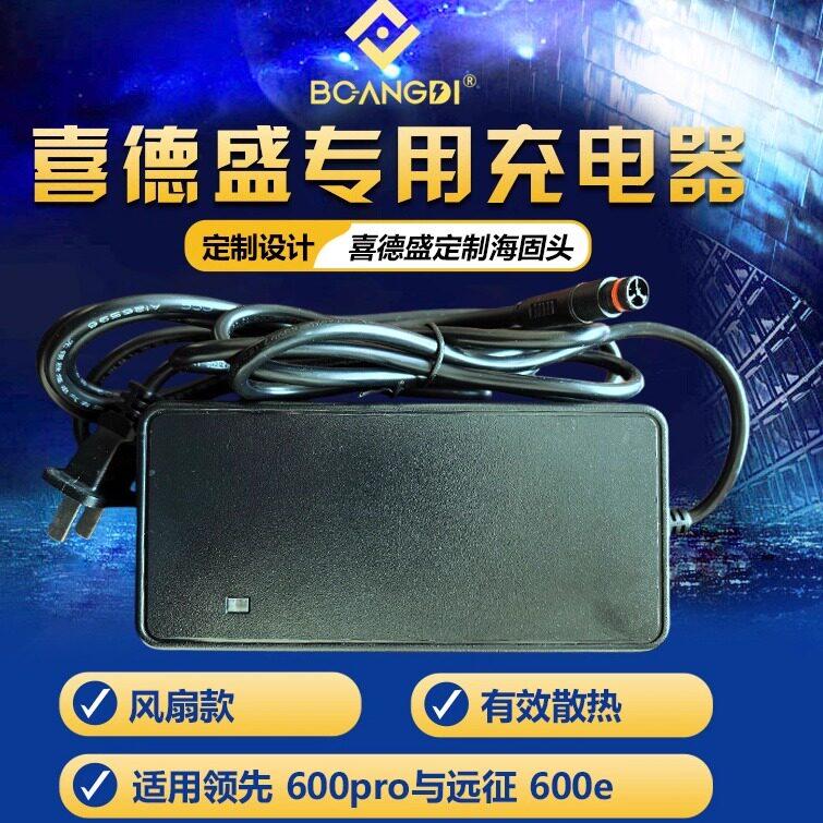 ANGDI户外骑行单车喜德盛领先系列原装海固头电动锂电充电器42V3A