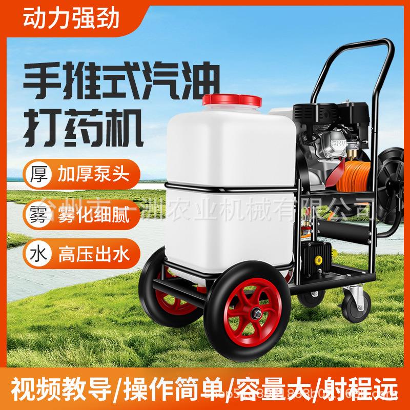一洲60手推车式汽油打药机高压农用汽油动力喷雾器消毒果园茶树