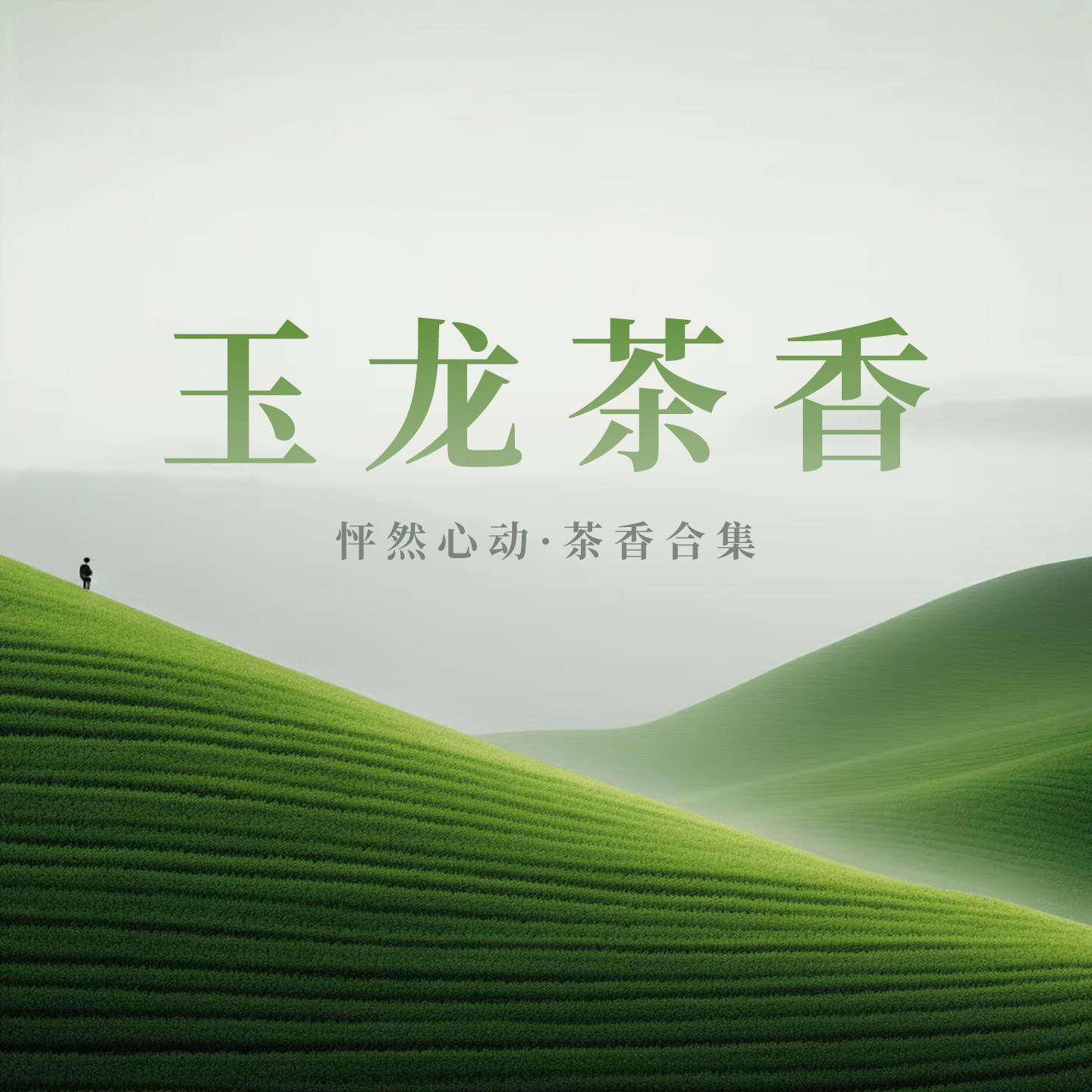 玉龙茶香大吉岭茶红白茶香水平替乌龙绿茶小众小样男士女士中性