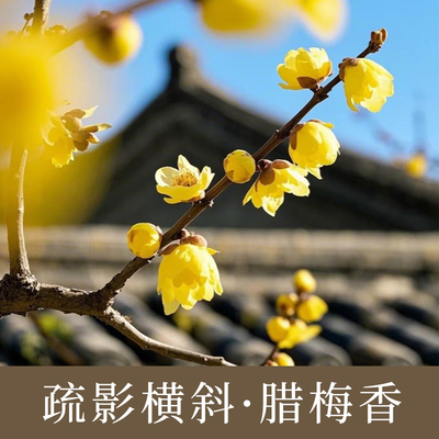 袖素梅香·原创还原腊梅香水香氛