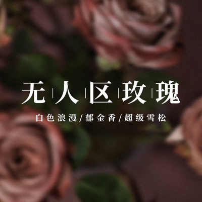 无人区玫瑰超级雪松白色浪漫流浪者之歌持久香水平替衣物淡香氛