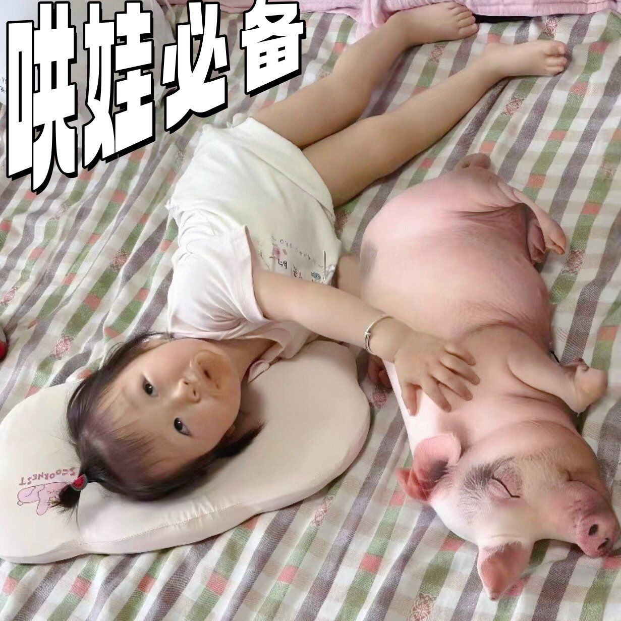 【哄娃 】仿真猪玩偶小猪抱枕玩具整蛊礼物送孩子陪睡抱枕公仔