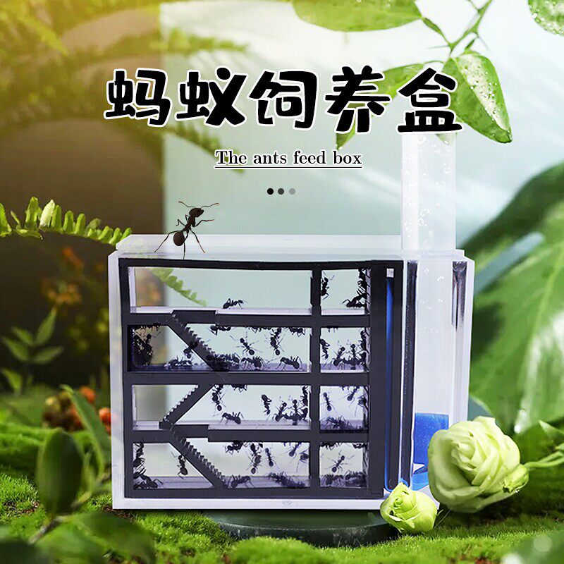蚂蚁城堡亚克力蚁巢养蚂蚁的盒子蚂蚁工坊城堡饲养窝桌面观察蚁后