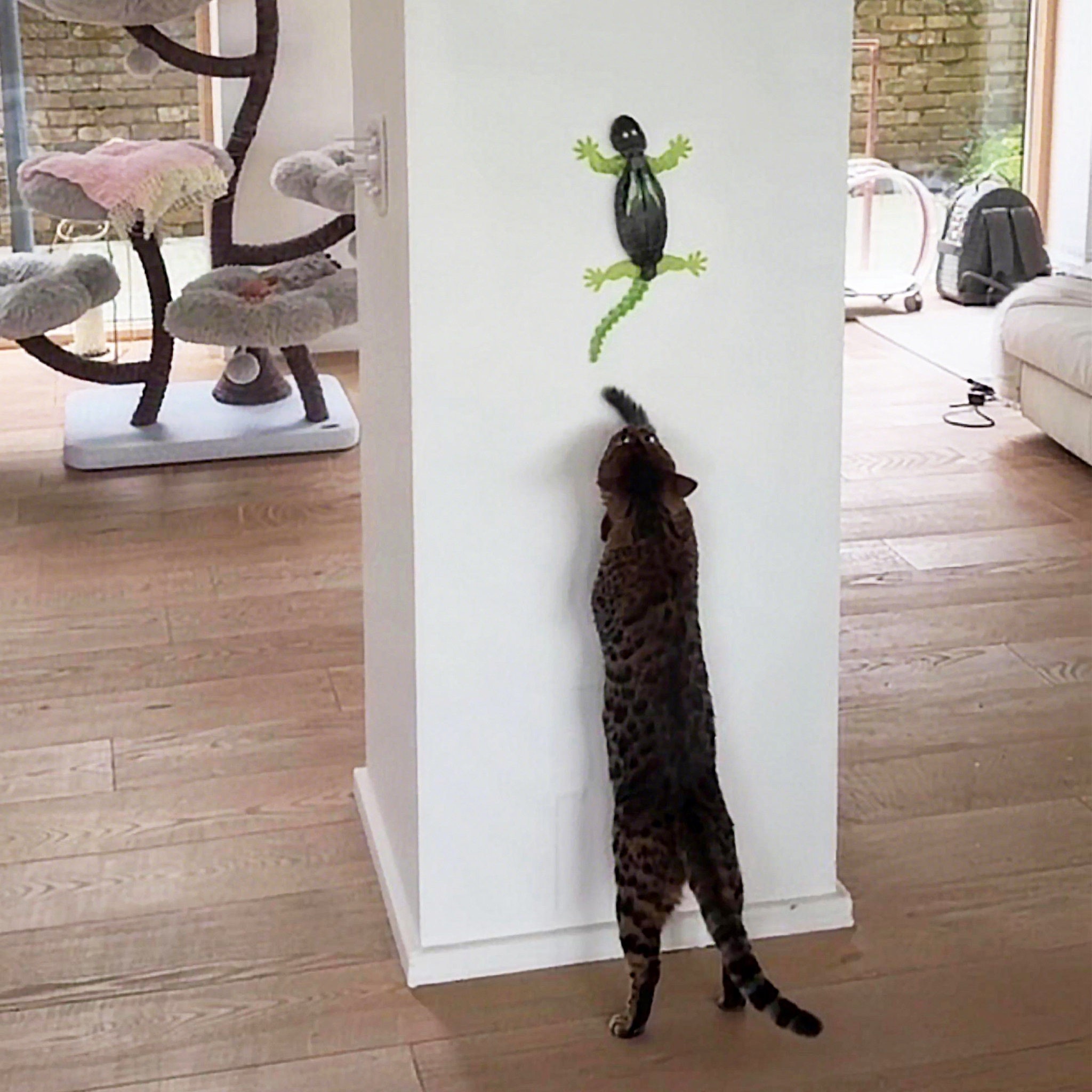 猫咪玩具电动爬墙壁虎自嗨解闷小猫巡回远程遥控智能自动逗猫玩具