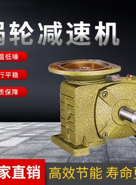 WPDZ 蜗轮蜗杆减速器  高效耐用带自锁功能 电机一体厂家直销