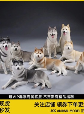 Xmmos 1/6哈士奇2.0模型仿真动物萌宠狗狗树脂摆件治愈系手办