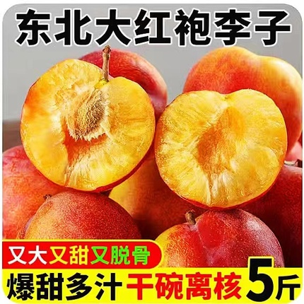 东北李子大红袍脱骨干碗离核当季新鲜水果整箱5斤比蜂糖李甜