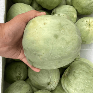 绿宝石甜瓜湖北香瓜本地土香瓜孕妇水果蜜瓜小时候味道露天应季