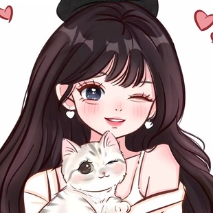 q版 手绘画头像定制卡通形象设计情侣约稿代画像真人照片转动漫画