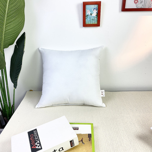 抱枕芯儿内胆内芯靠垫芯40 45×45 50正方形抱枕心沙发靠背靠枕芯
