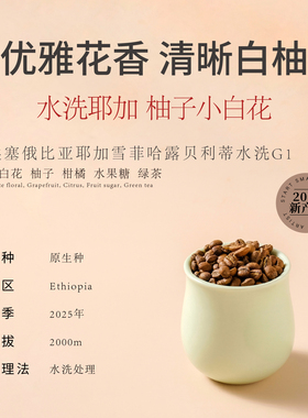 startsmall2025新产季埃塞耶加雪菲浅烘柚子小白花手冲咖啡豆150