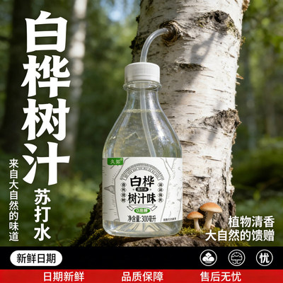 久如白桦树汁苏打水风味饮料