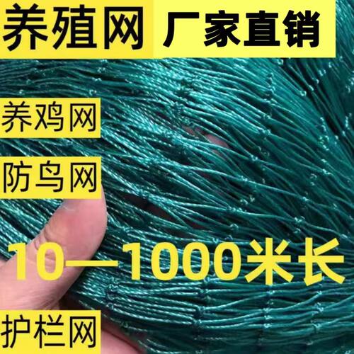 (好评前三名)户外养鸡网