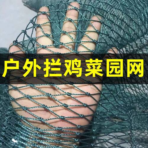 拦鸡鸭网养家禽养殖网防