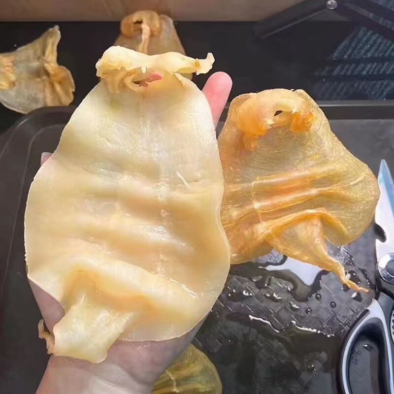 湛江赤嘴母胶鱼胶干货深海大赤嘴胶炖汤孕妇产后滋补鲜炖花胶鱼胶