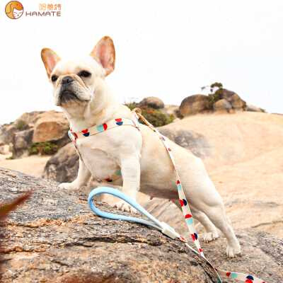 y型胸背带宠物用品狗d狗牵引绳柯基背心式遛狗绳链子中小型犬项圈