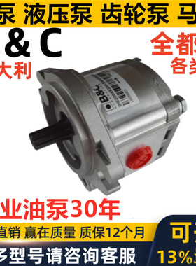意大利BC齿轮泵BG2004S20AS90GG4S00 B+C HYDRAULICS油泵马达eac