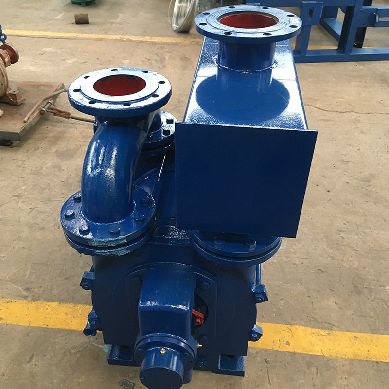 2bea-202水环式真空泵  产品支持定制