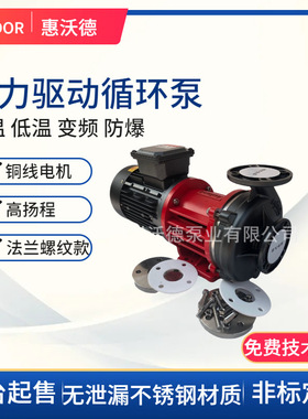 MDZ-300不锈钢磁力泵22kw低温冷冻乙二醇循环水泵液氮循环泵