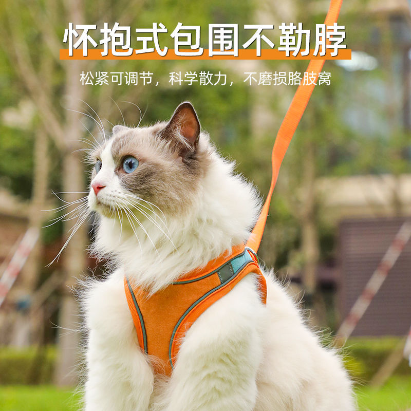 宠物牵引绳背心式防挣脱反光