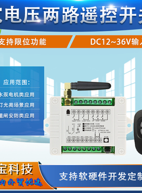 黑色鸭蛋2键遥控开关12V24V二路水泵电机道闸车库门LED灯具控制器