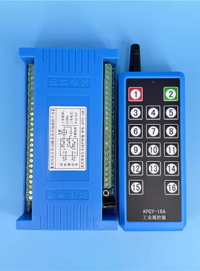 双向蓝色无线遥控灯具16路12V24V控制器多套同时点动工作带总开关