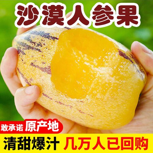 人参果甘肃民勤新鲜水果黄肉大果