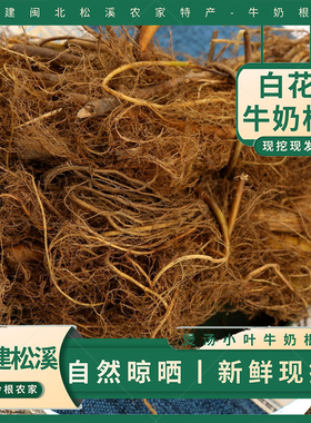 福建小叶牛奶根新鲜现挖南平野生牛奶根多规格可选松溪白花牛奶根