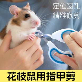 MYDOG 圆孔盲剪刀钳磨甲小宠专用 仓鼠指甲剪花枝鼠金丝熊剪甲套装