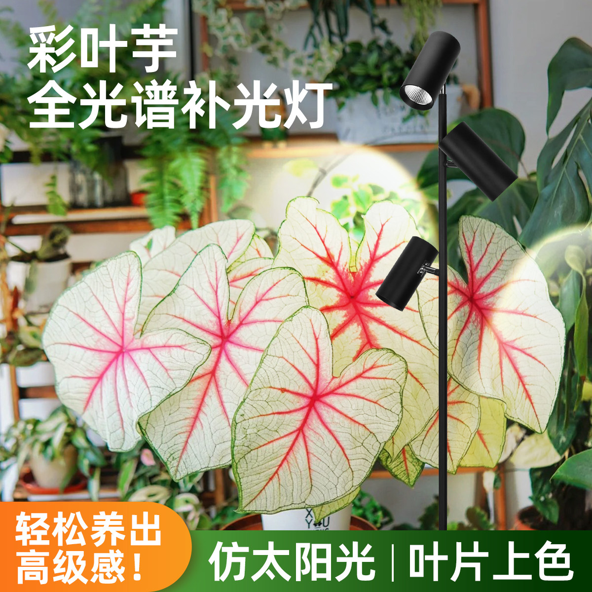 光合力量彩叶芋专用生长灯全光谱图片