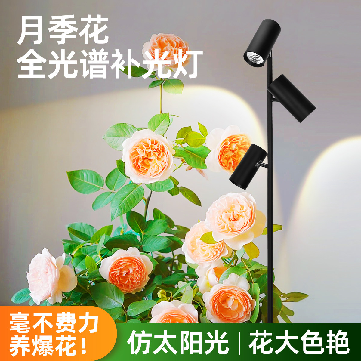 月季花专用生长灯室内全光谱植物补光灯COB热植绿植生长花卉多肉
