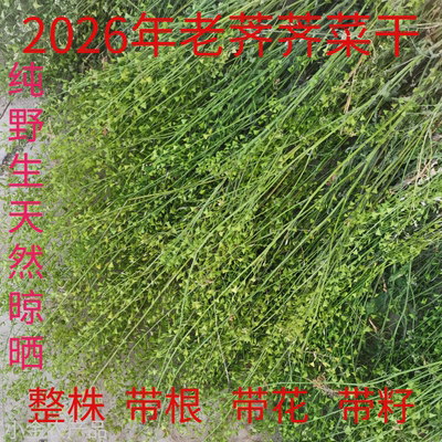 2026新货野生新鲜老荠干菜三月三煮鸡蛋荠菜干野生水洗干货无杂草