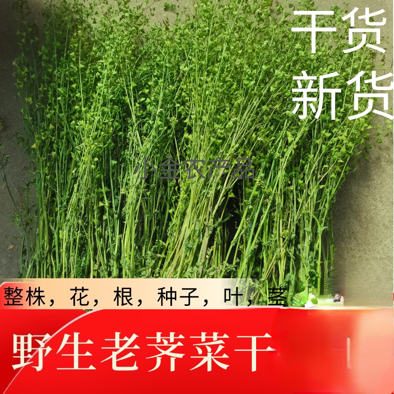 2026新货纯野生整株老荠菜干荠菜带花根茎籽晒干无杂质干货无杂草