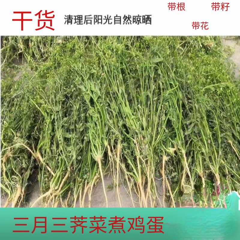 2026新货野生三月老荠菜干老荠菜花干整株带根花籽野生干荠菜
