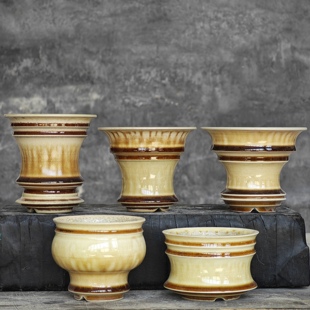 精品多肉象芽宫仙人球龟甲龙布纹球手工景德镇黄陶瓷块根植物花盆