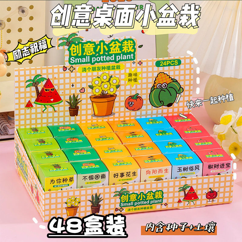 植物盆栽生日创意礼物小学生植物儿童伴手礼幼儿园奖品实用小礼品