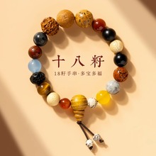 十八籽菩提手串女2025年新款潮高级感百搭简约手链小众设计感手环
